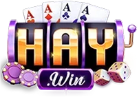 logo-haywin-taixiu